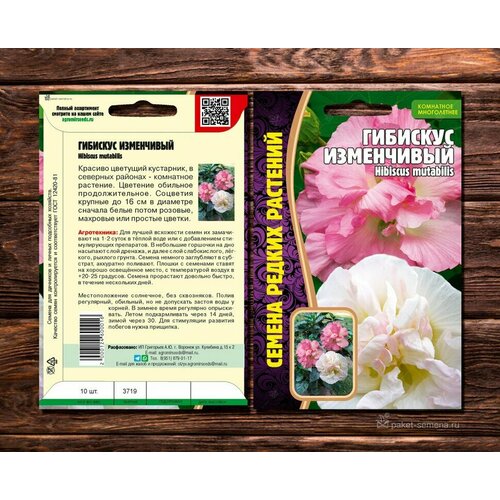      (Hibiscus mutabilis) (7 ) 