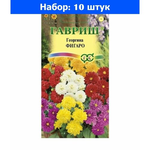     7   30 () - 10     -     , -,   