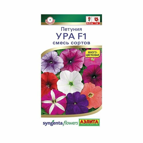   : 10   /   F1   7  25 () Syngenta Flowers   -     , -,   