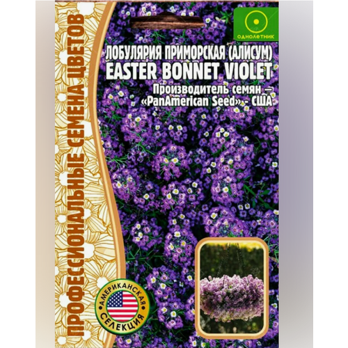   () Easter Bonnet Violet 20 .   (2  )   -     , -,   