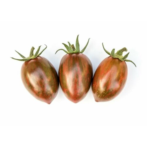    Negro (. Solanum lycopersicum)  10   -     , -,   