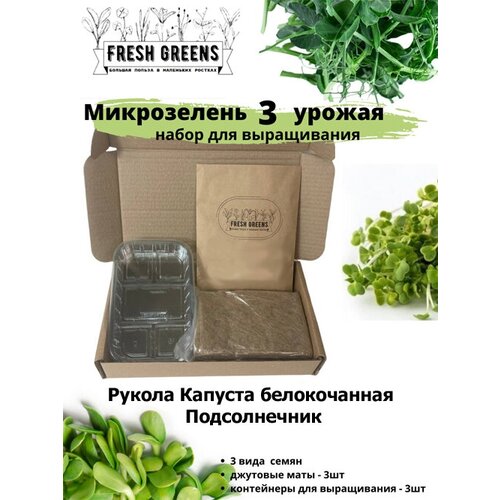      Fresh Greens (   )   -     , -,   