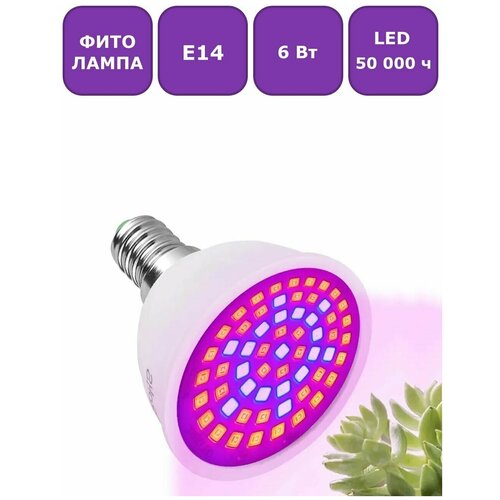    (  ) Maple Lamp PhytoLED, 14, 6 , . LED-E14-6W-Flora   -     , -,   