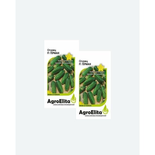     F1, 5, AgroElita, Seminis(2 )   -     , -,   