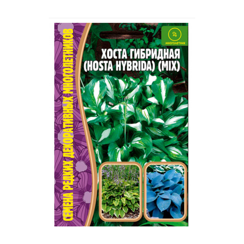      (Hosta hybrida) (0,02 )   -     , -,   