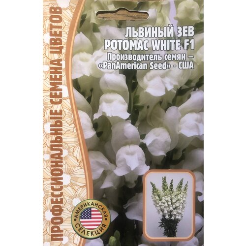      () (Antirrhinum majus Potomac) Potomac White F1 (5 ) 