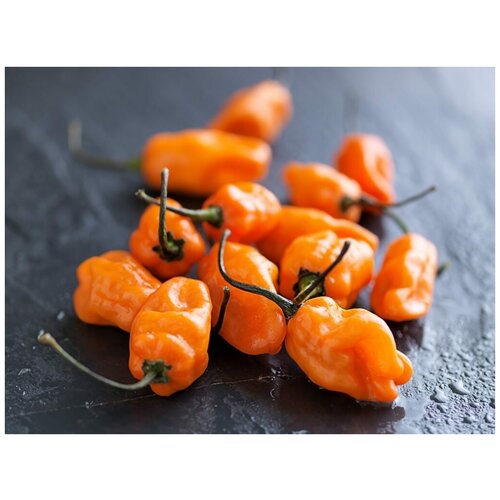       (. Habanero Pepper Orange)  5   -     , -,   