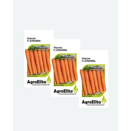     F1, 0,3, AgroElita, Enza Zaden(3 )   -     , -,   