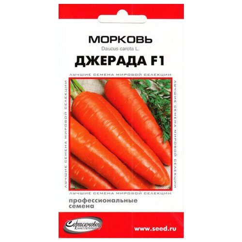    F1, 190    -     , -,   