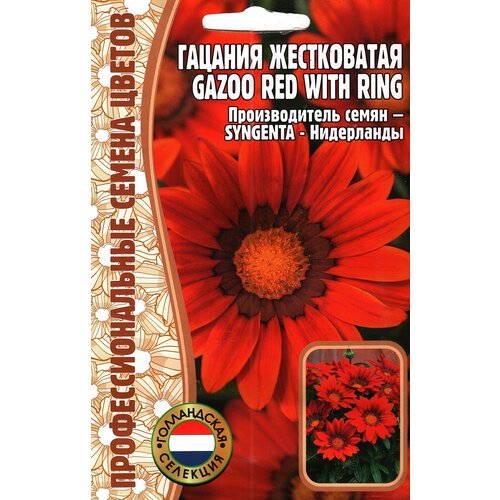    Gazoo red with ring ( 1 : 5  )   -     , -,   