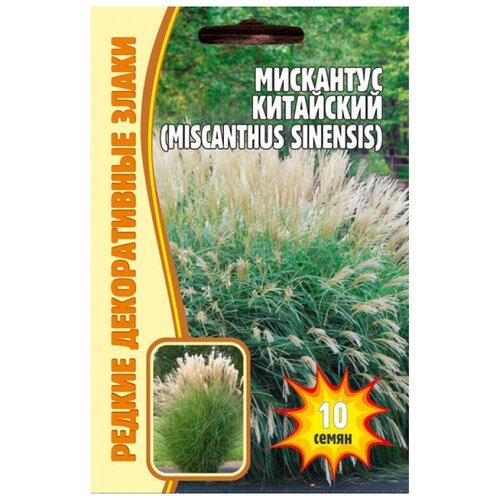     (Miscanthus Chinensis) (0.01 )   -     , -,   
