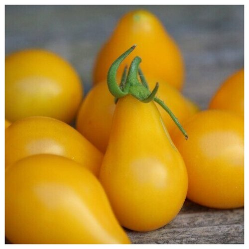     (. Tomato Yellow Pear)  10   -     , -,   