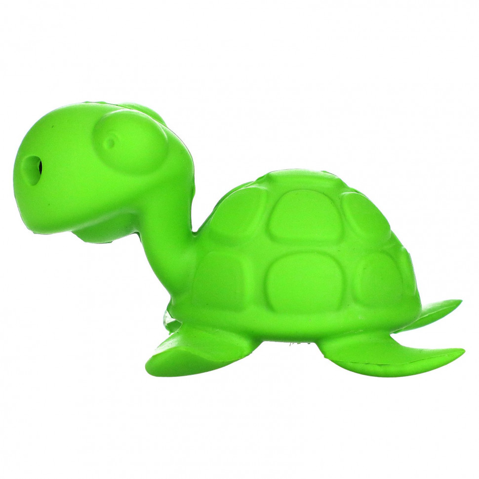  Begin Again Toys, Bath Bath Pals,      ,    2 , Turtle, 1     -     , -, 