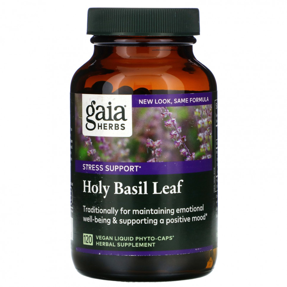 ������ ������ Gaia Herbs, ���� �������� ����������, 120 ��������� ������ Liquid Phyto-Caps  IHerb (������) ����