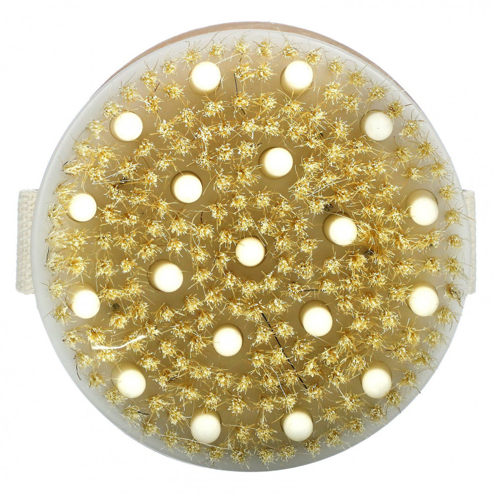 ������ ������ Beauty By Earth, Dry Brushing Body Brush, 1 Round Body Brush  IHerb (������) ����