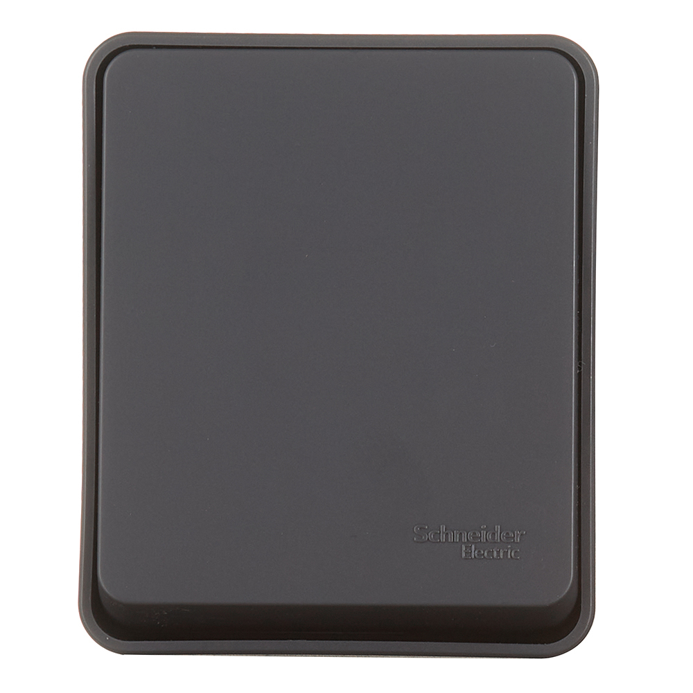 ������ ������ ����������� Systeme Electric AtlasDesign Profi54 ������������� ��������� �������� (ATN544011)   ����