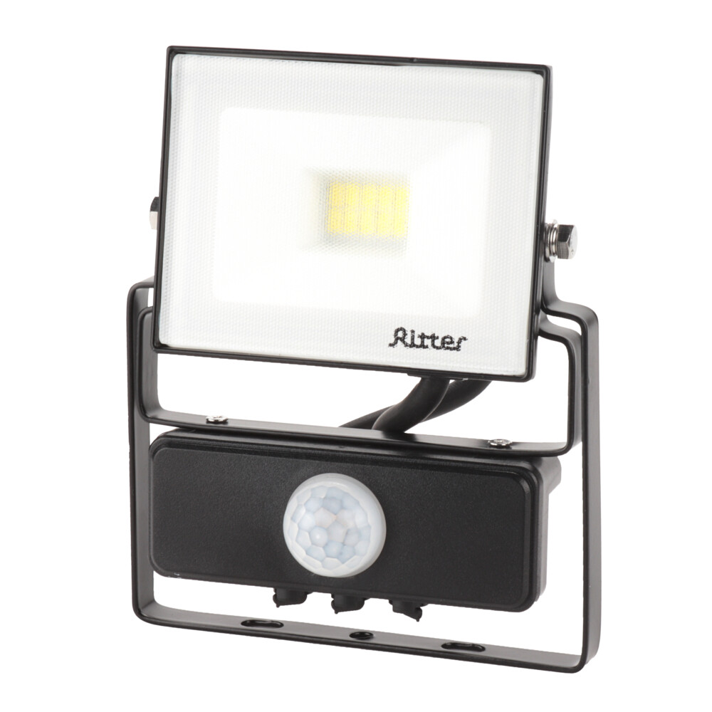 ������ ������ ��������� ������������ Ritter Profi 6500� 20 �� IP65 � �������� �������� ������   ����