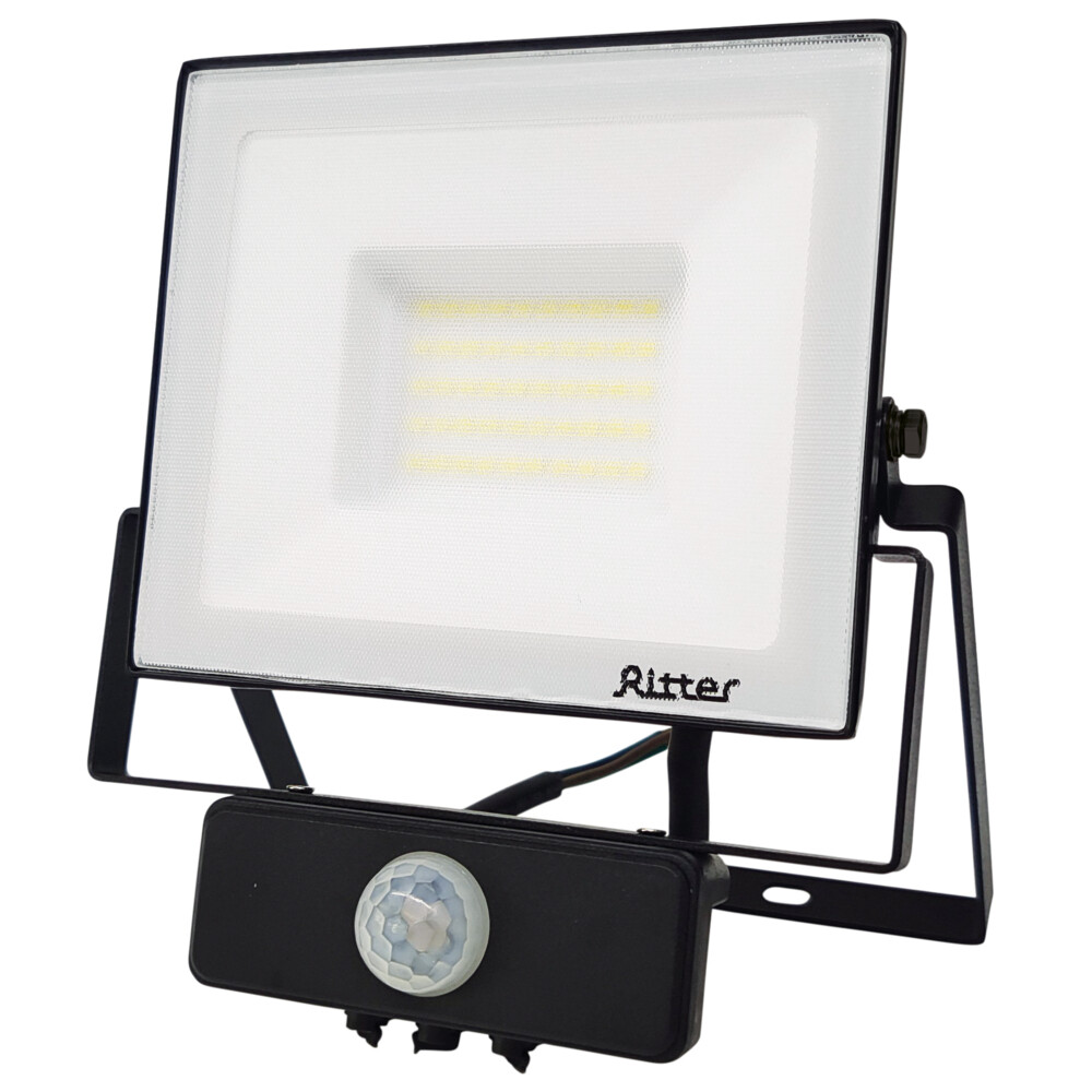 ������ ������ ��������� ������������ Ritter Profi 6500� 50 �� IP65 � �������� �������� ������   ����