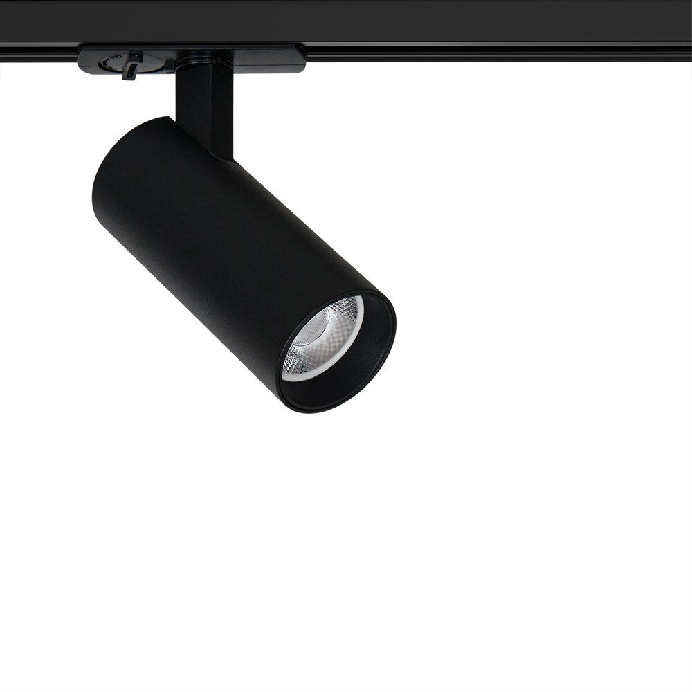 ������ ������ ������������ �������� ���������� ���������� Arte Lamp Bene 4000� 10 �� ������ (A1945PL-1BK)   ����