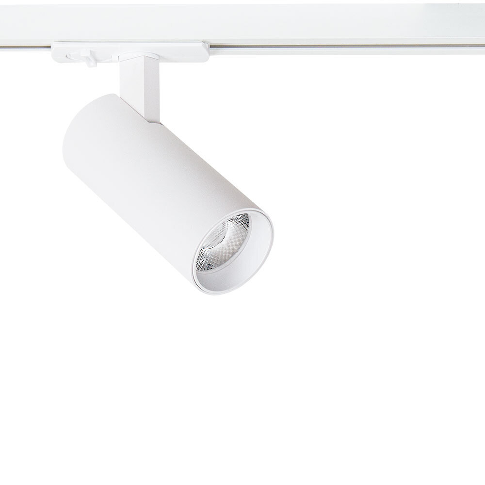 ������ ������ ������������ �������� ���������� ���������� Arte Lamp Bene 4000� 10 �� ����� (A1945PL-1WH)   ����