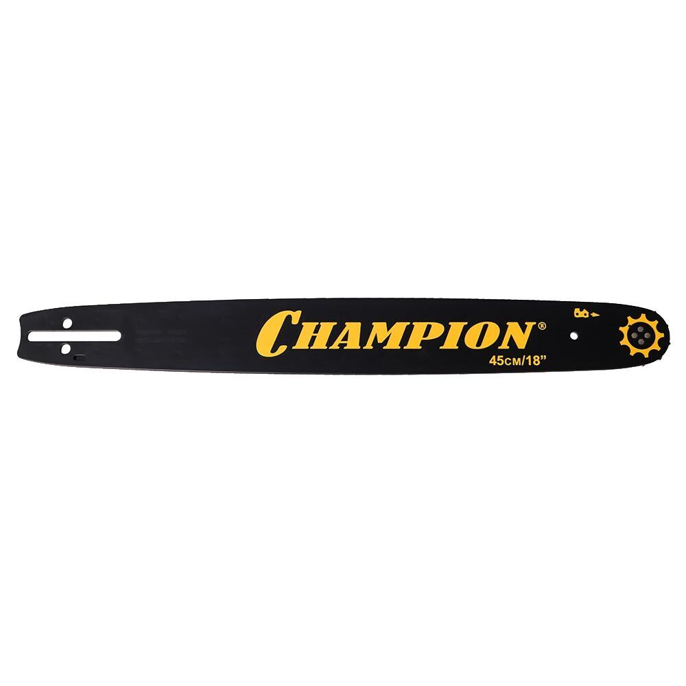 ������ ������ ���� Champion 18