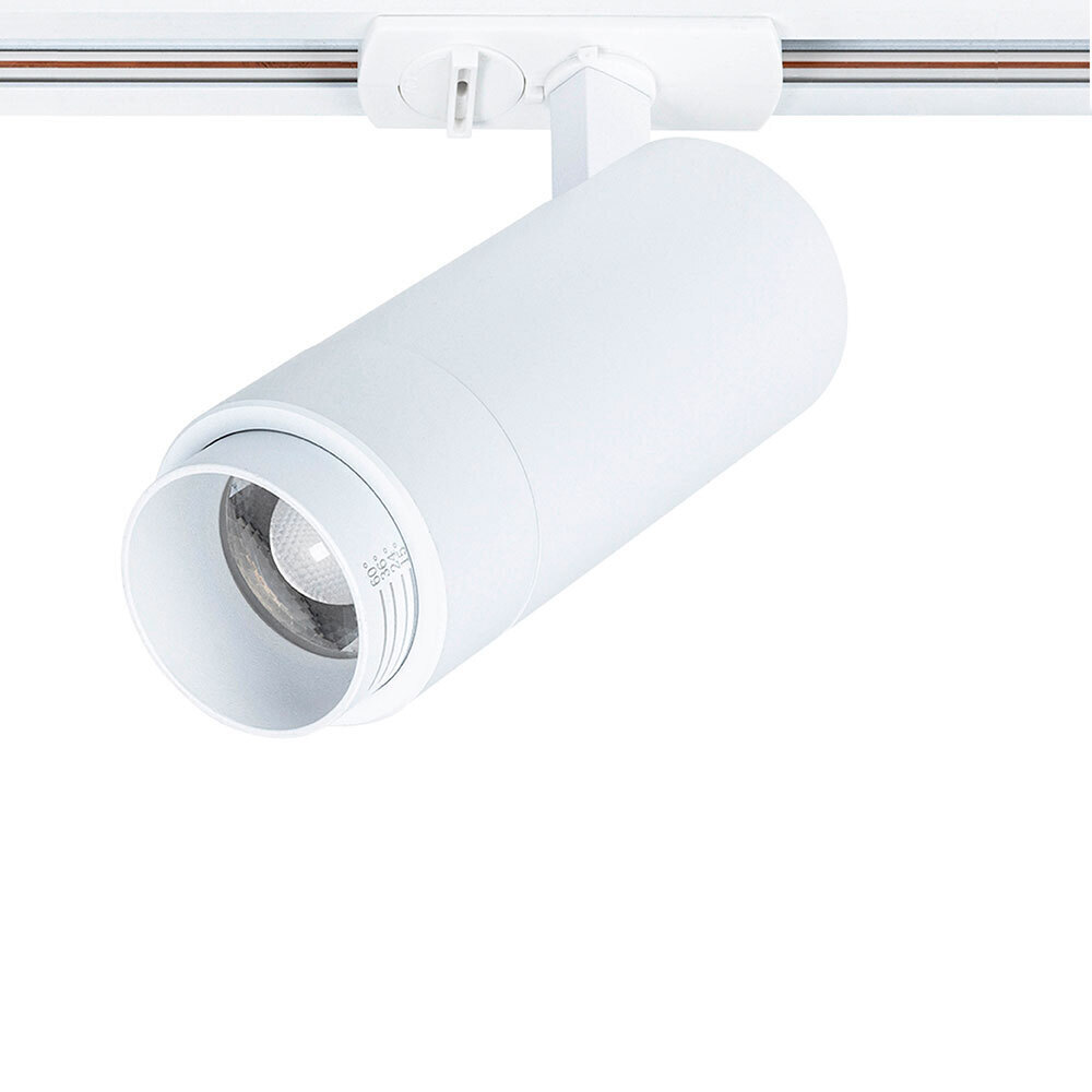 ������ ������ ������������ �������� ���������� ���������� Arte Lamp Merak 3000� 15 �� ����� (A3530PL-1WH)   ����