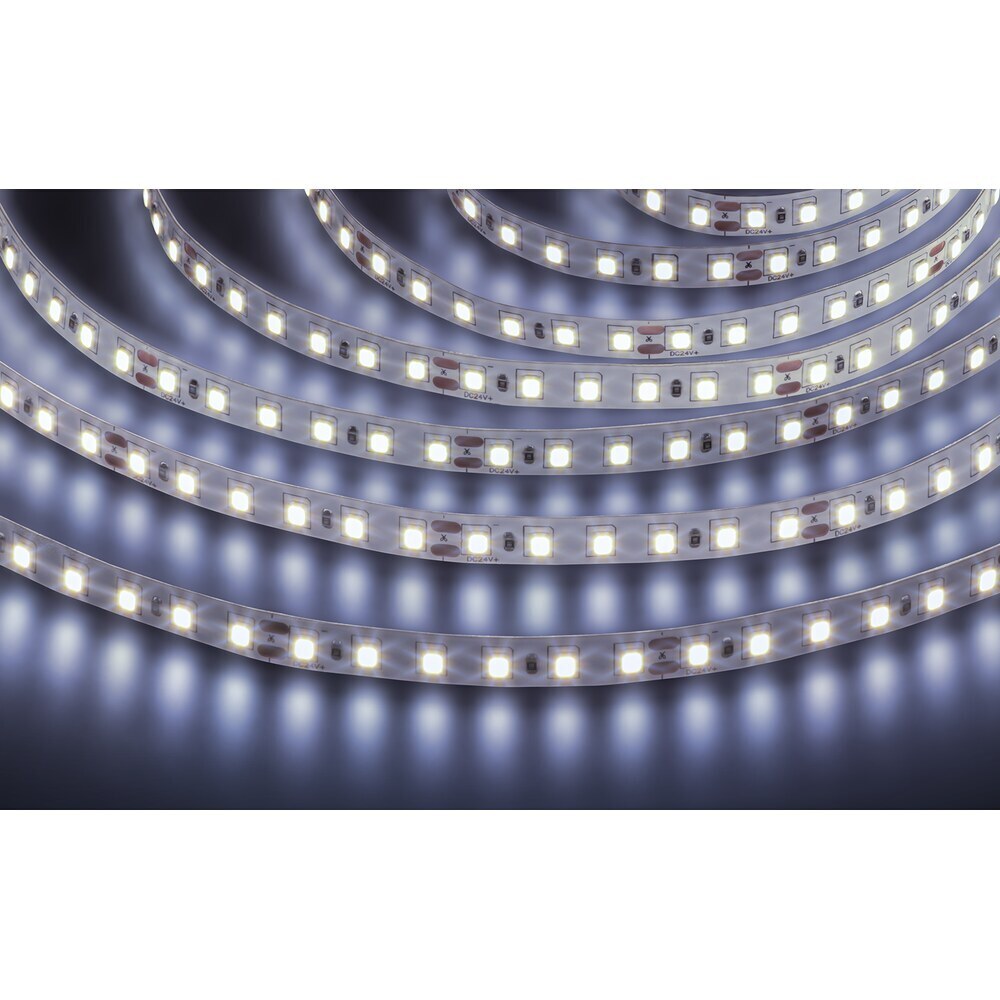 ������ ������ ����� ������������ Navigator SMD 2835 NLS 6000� 24 � 9,6 ��/� IP20 5 � (95296)   ����