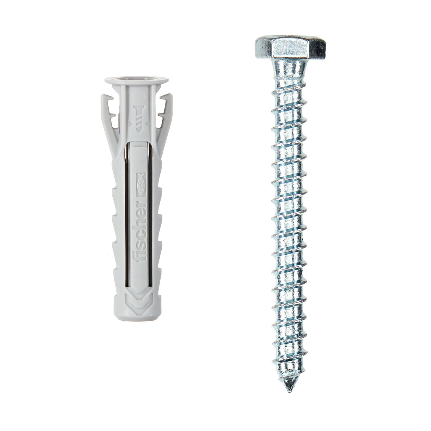 ������ ������ ������ ��������� Fischer SX PLUS 10x50 �� ������ � ������� (4 ��.)   ����