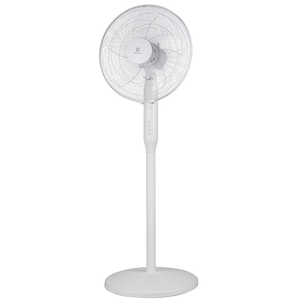 ������ ������ ���������� ��������� Electrolux EFF-1006W 3 �������� 50 ��   ����