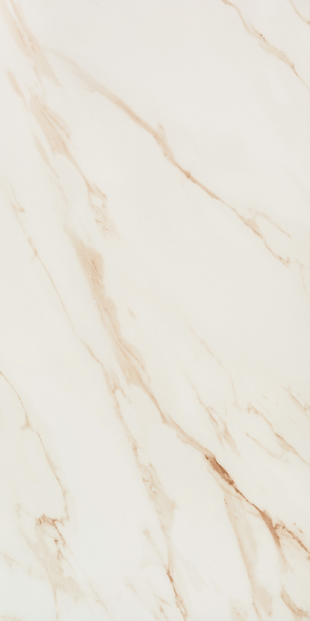 ������ ������ ������������ Lavelly Calacatta Imperia ����� ������� 1200x600x8,5 �� (2 ��.=1,44 ��.�)   ����