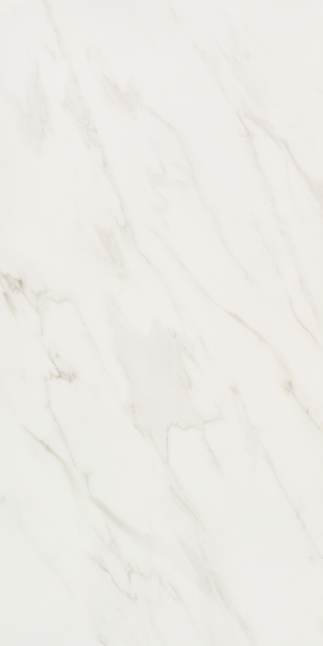 ������ ������ ������������ Lavelly Statuario Ligure ����� ������������ 1200x600x8,5 �� (2 ��.=1,44 ��.�)   ����