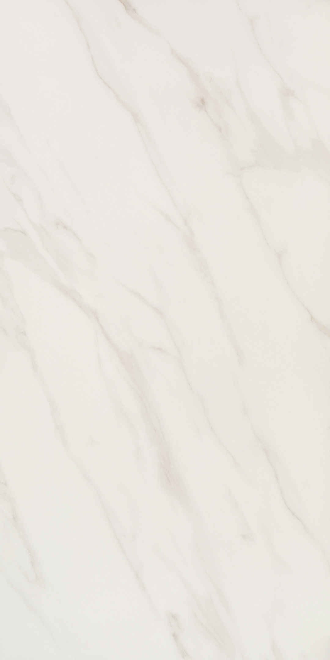 ������ ������ ������������ Lavelly Statuario Ligure ����� ������� 1200x600x8,5 �� (2 ��.=1,44 ��.�)   ����