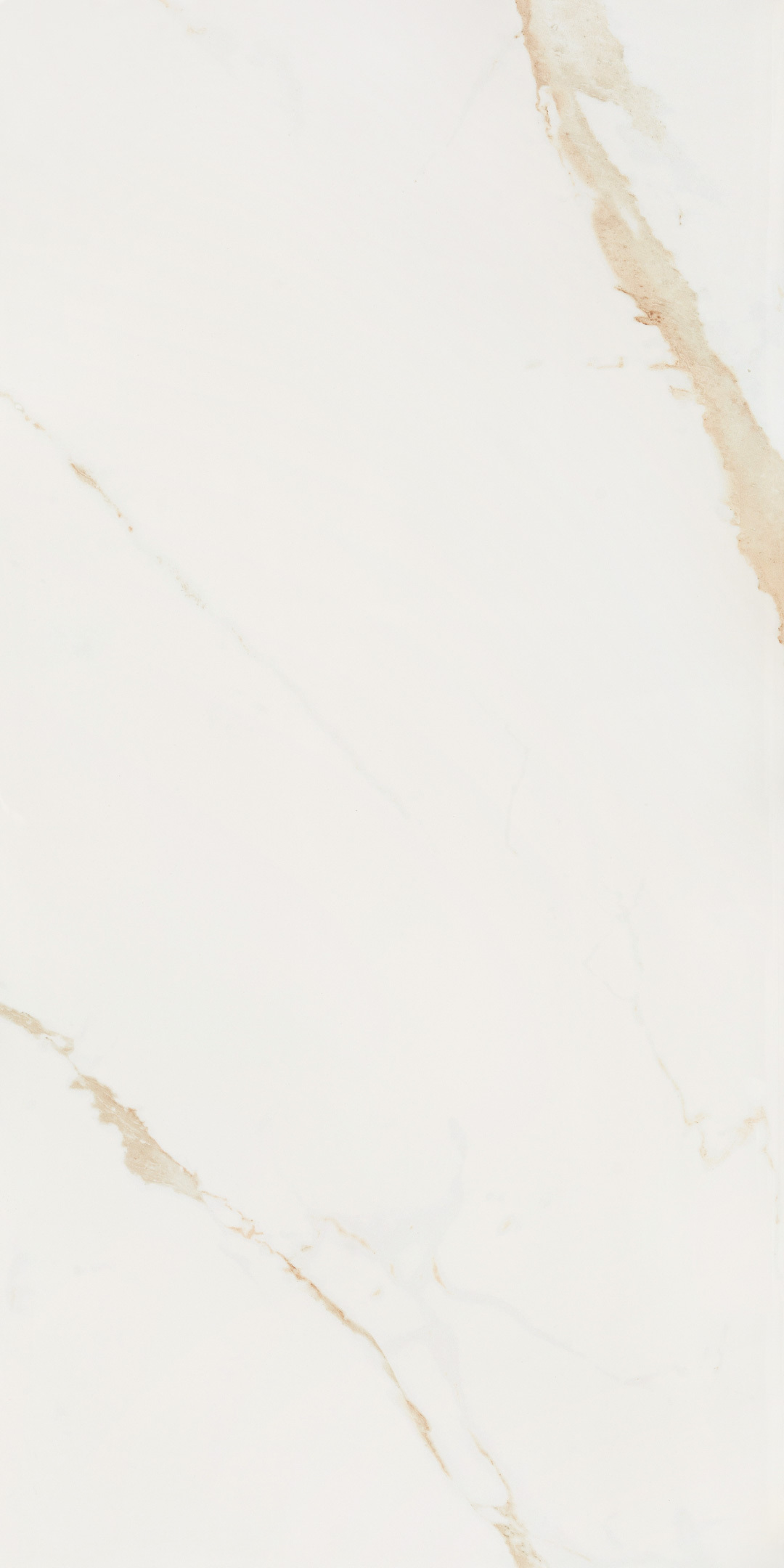 ������ ������ ������������ Lavelly Calacatta Toscana ����� ������������ 1200x600x8,5 �� (2 ��.=1,44 ��.�)   ����