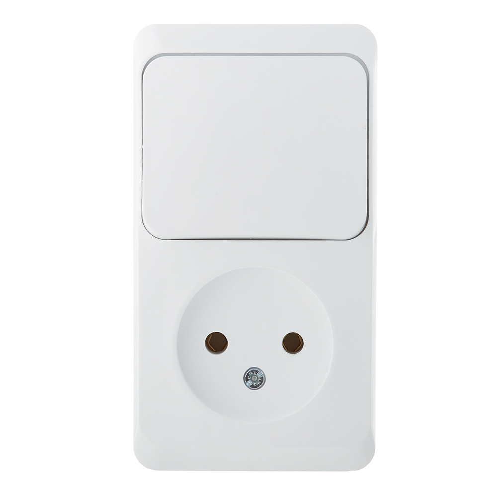 ������ ������ ���� ����������� � ������� Systeme Electric ���� ������������� ��������� ����� (BPA16-204B)   ����