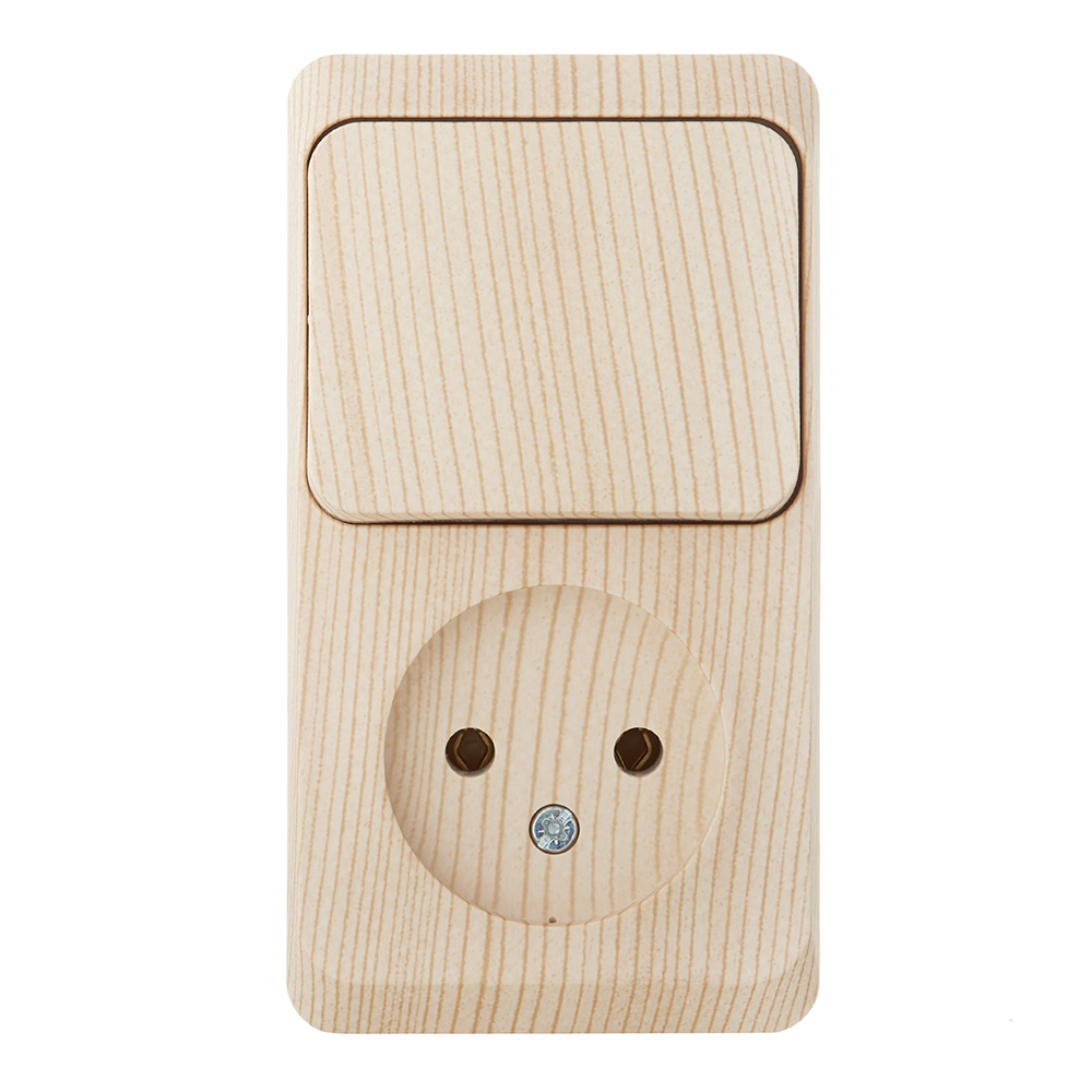 ������ ������ ���� ����������� � ������� Systeme Electric ���� ������������� ��������� ����� (BPA16-204D)   ����