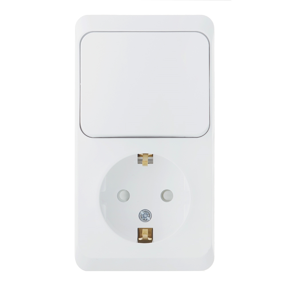 ������ ������ ���� ����������� � ������� Systeme Electric ���� ������������� ��������� ����� (BPA16-201B)   ����