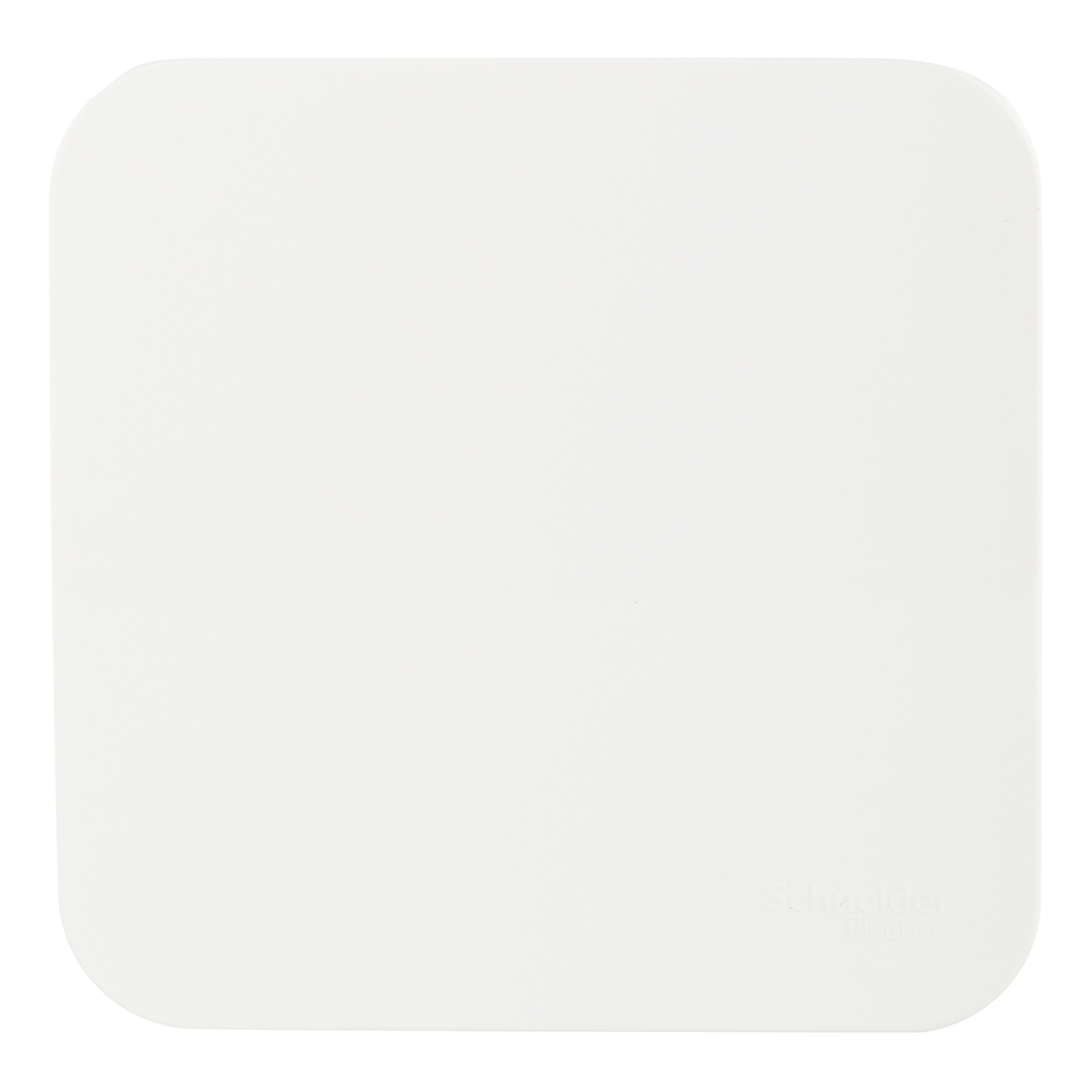 ������ ������ ����������� Systeme Electric Blanca ������������� ��������� �������� � ������������� (BLNCA101012)   ����