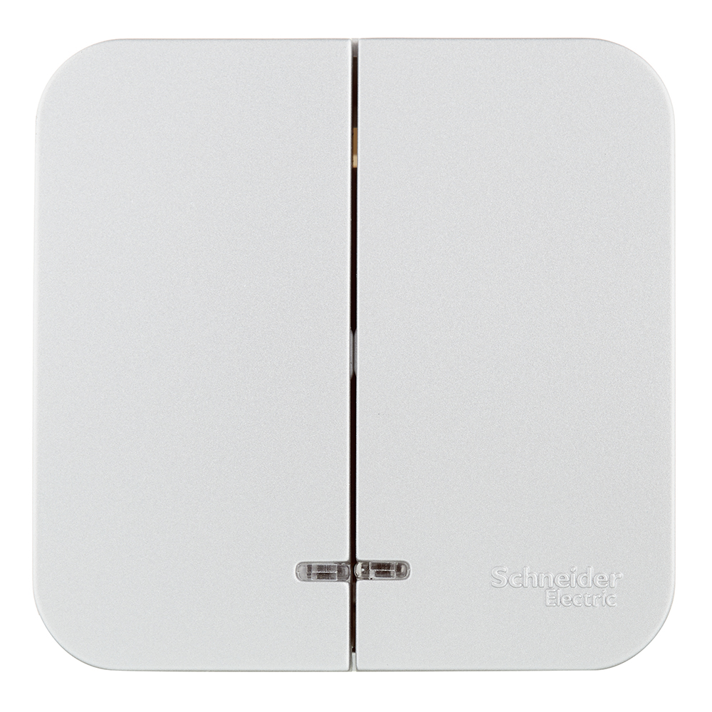 ������ ������ ����������� Systeme Electric Blanca ������������� ��������� �������� � ���������� (BLNVA105113)   ����