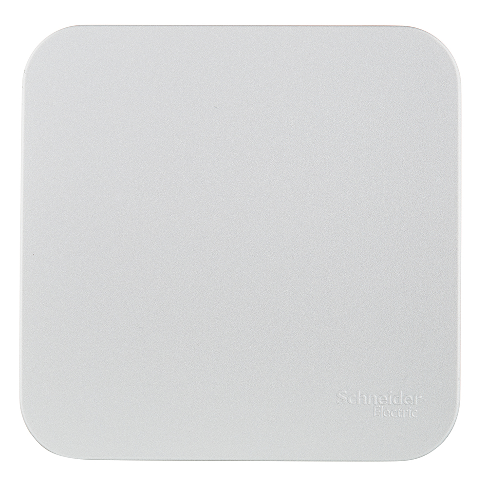 ������ ������ ������������� Systeme Electric Blanca ������������� ��������� �������� (BLNVA106013)   ����