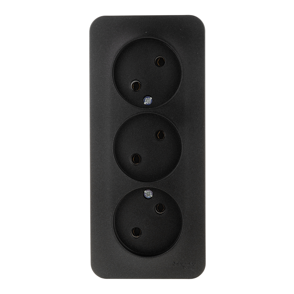 ������ ������ ������� Systeme Electric Blanca ��������� �������� (BLNRA000316)   ����