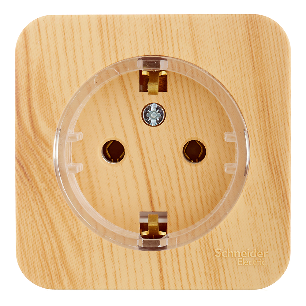 ������ ������ ������� Systeme Electric Blanca ��������� ����� ������� (BLNRA110115)   ����