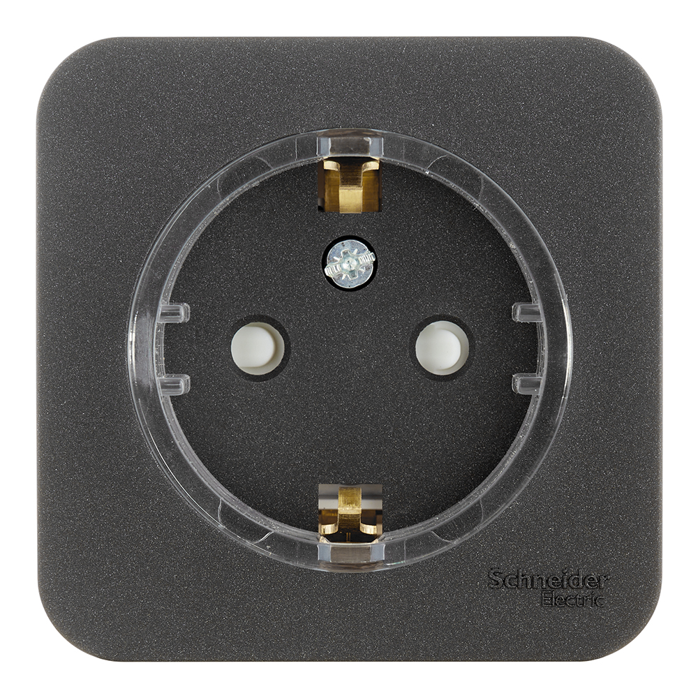 ������ ������ ������� Systeme Electric Blanca ��������� �������� �� �������� ������� (BLNRA111116)   ����