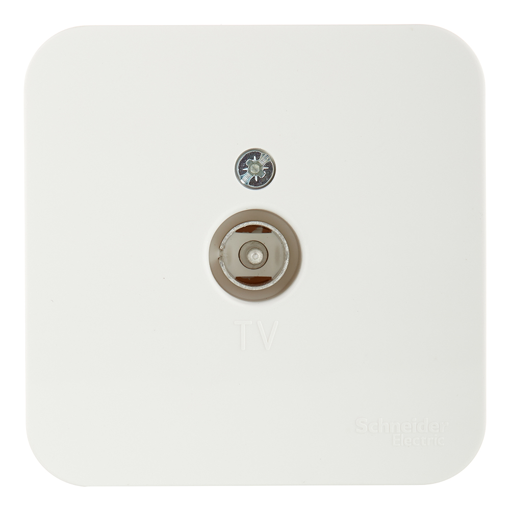 ������ ������ ������� ������������� Systeme Electric Blanca ��������� �������� (BLNTA000012)   ����