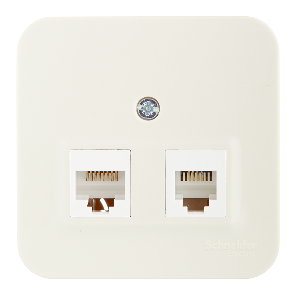 ������ ������ ������� ������������ Systeme Electric Blanca ��������� ������� 2�RJ45 (BLNIA045457)   ����
