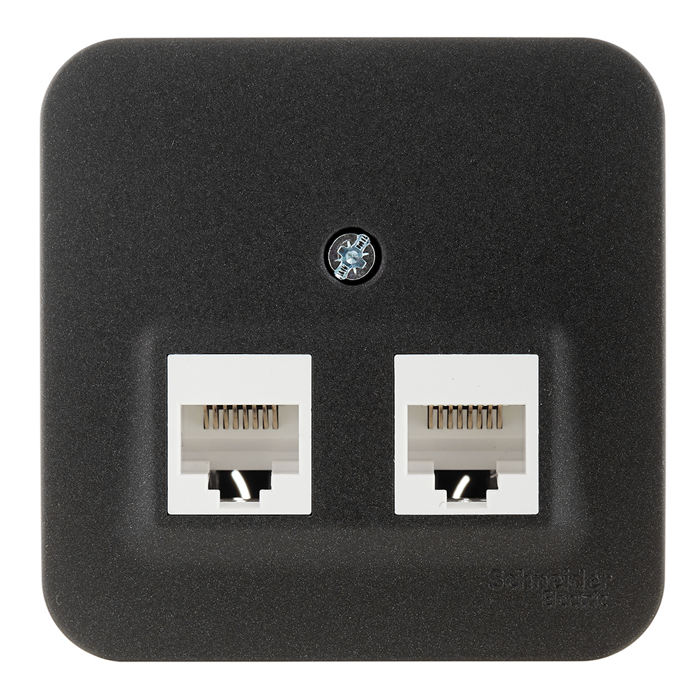������ ������ ������� ������������ Systeme Electric Blanca ��������� �������� 2�RJ45 (BLNIA045456)   ����