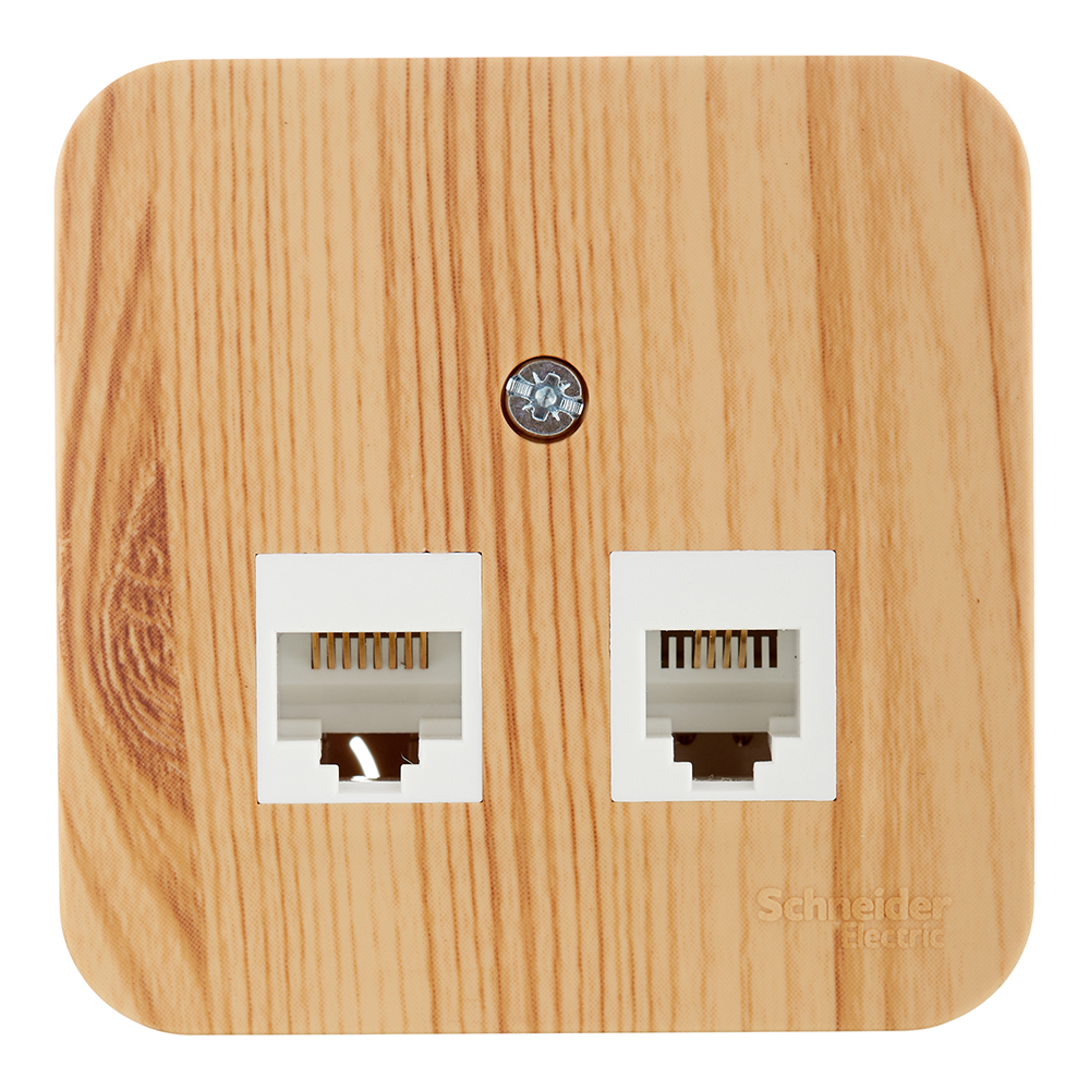 ������ ������ ������� ������������ Systeme Electric Blanca ��������� ����� 2�RJ45 (BLNIA045455)   ����