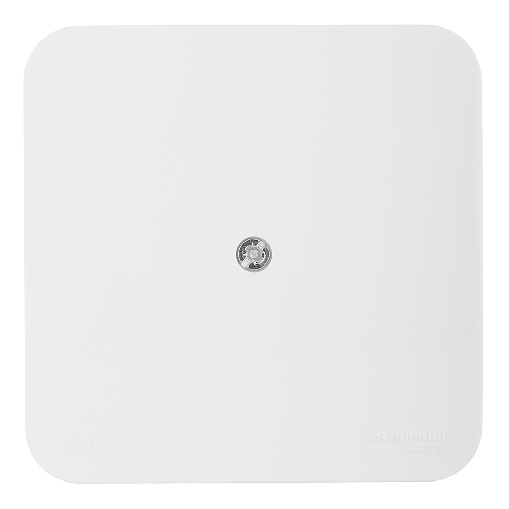 ������ ������ ������� ����������������� Systeme Electric Blanca ��������� �������� (BLNRK000012)   ����