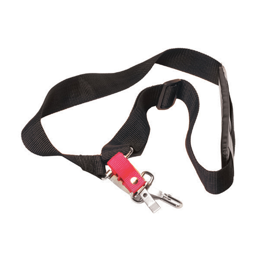 ������ ������ ������ ��� �������� Champion ������������� (C4001)   ����
