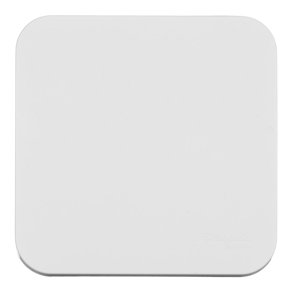 ������ ������ ����������� Systeme Electric Blanca ������������� ��������� ����� � ������������� (BLNCA101011)   ����