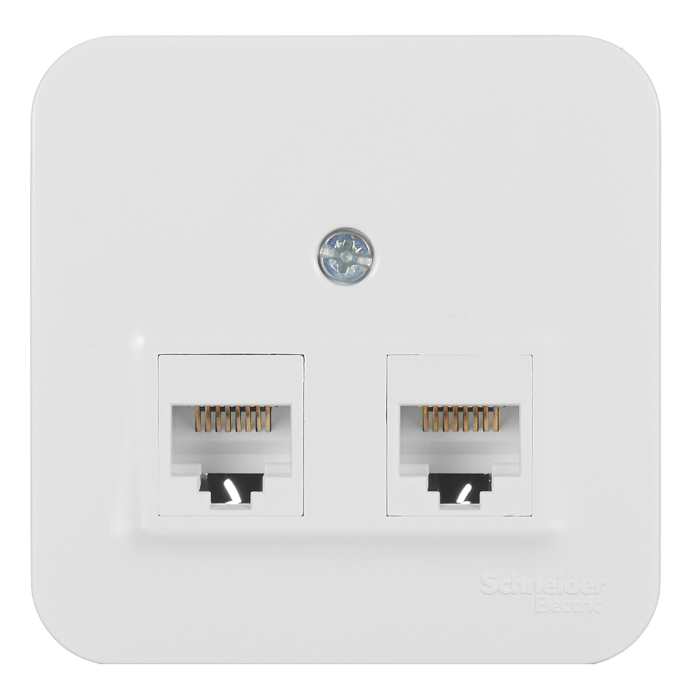 ������ ������ ������� ������������ Systeme Electric Blanca ��������� ����� 2�RJ45 (BLNIA045451)   ����